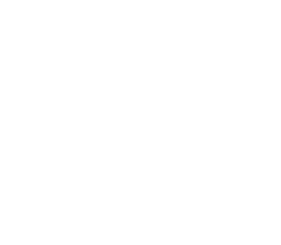 Janeos Beteiligungen